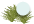 Ground Cover