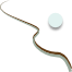 Hydrology