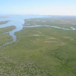 Coastal Wetlands – Fitzroy Partnership for River Health