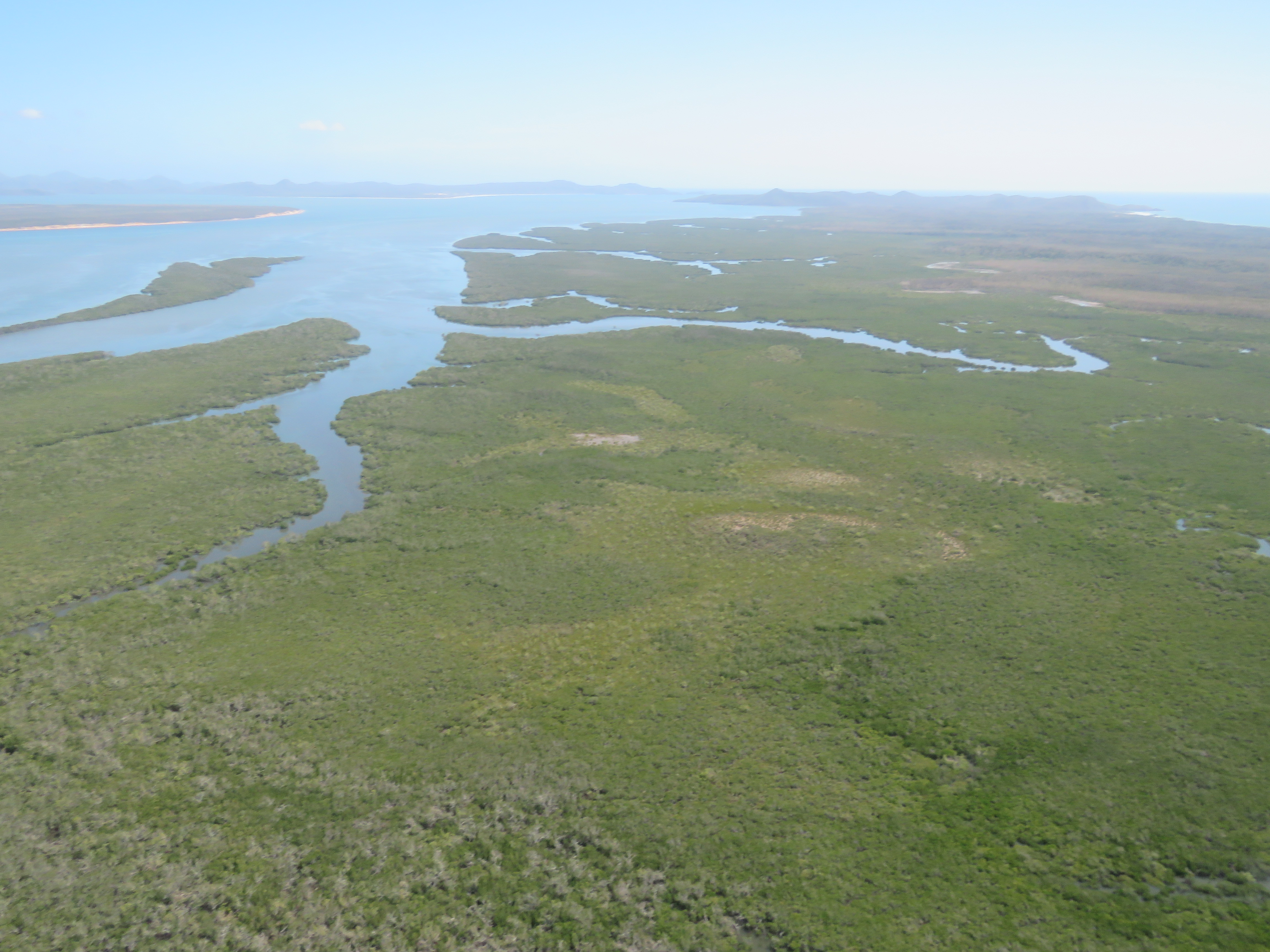 Coastal Wetlands – Fitzroy Partnership for River Health