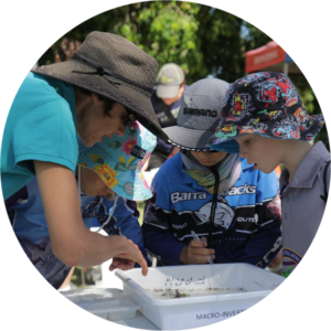 School children learn about waterbugs at a water sampling session.