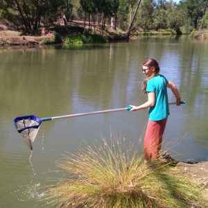 Partnership staff member undertakes water sampling in the Nogoa River near Emerald.