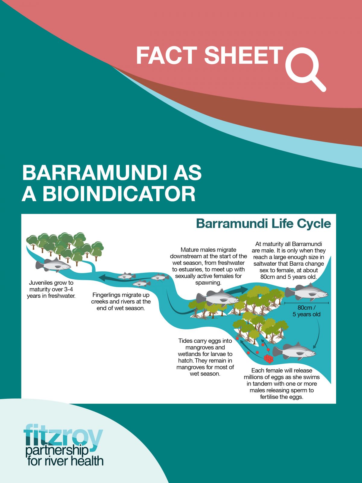 fact-sheets-reports-fitzroy-partnership-for-river-health