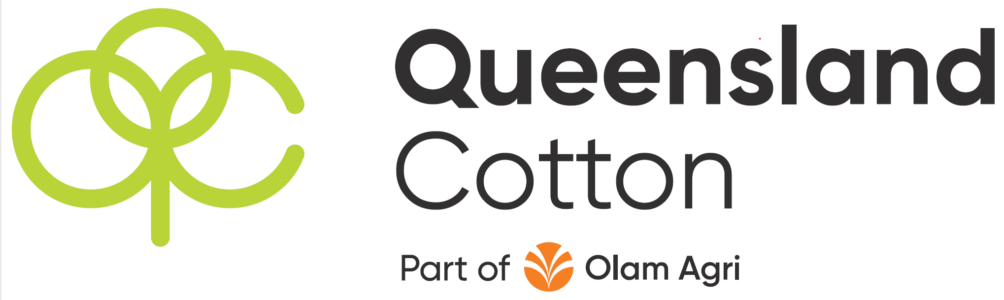 CQUniversity logo