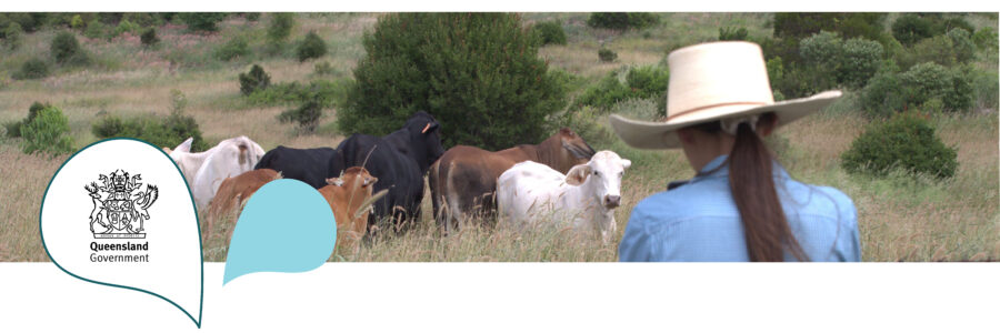 Story Header Images