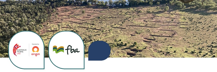 Improving the resilience of threshold regional ecosystems at Nuga Nuga National Park