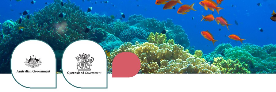 New strategy sets direction for Reef water quality
